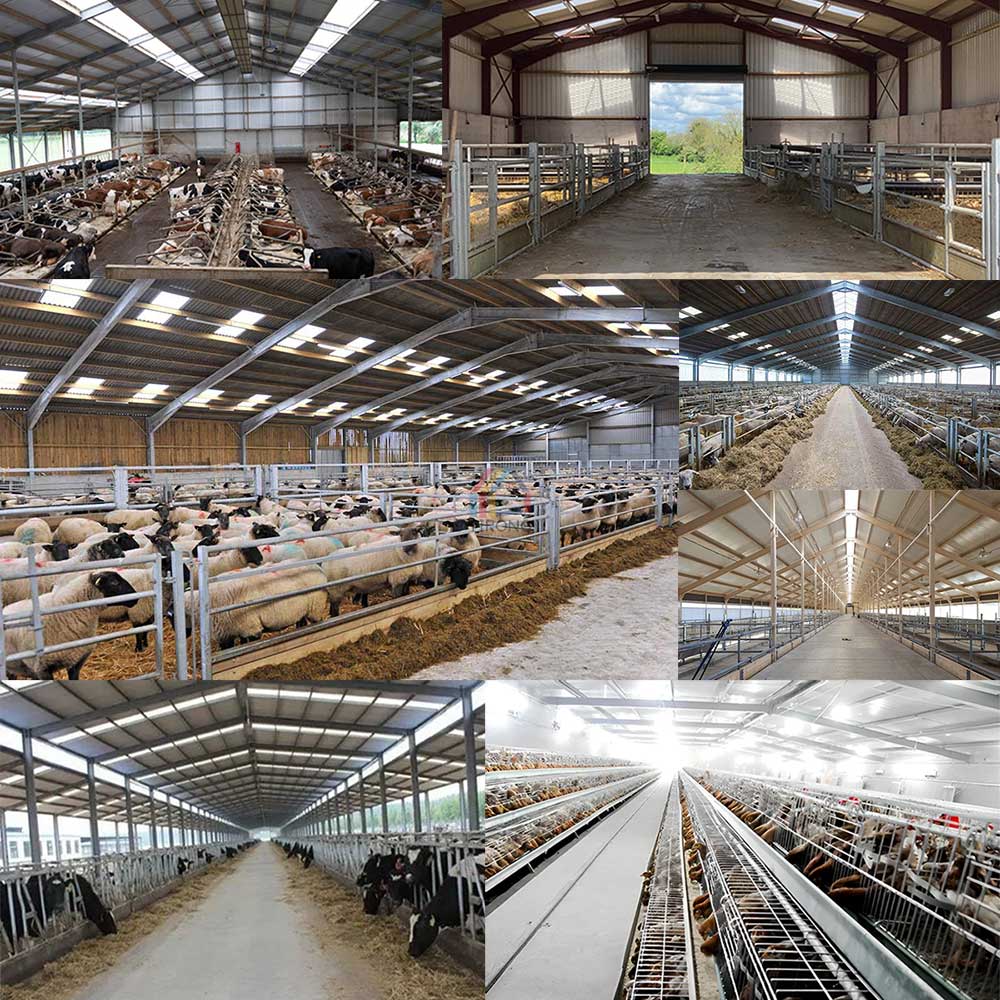 Steel Structure Agricultural Building