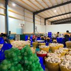 Coconut Processing Factory Coconut Processing Factory