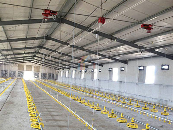 steel structure chicken shed