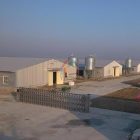 Cost-effectiveness of building a chicken farm with steel structures Cost-effectiveness of building a chicken farm with steel structures