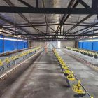 Steel structure poultry house in Zimbabwe