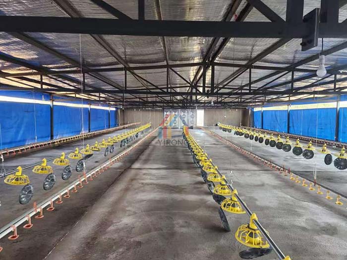 steel structure poultry house