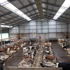 Construction and design of steel structure cowshed Construction and design of steel structure cowshed