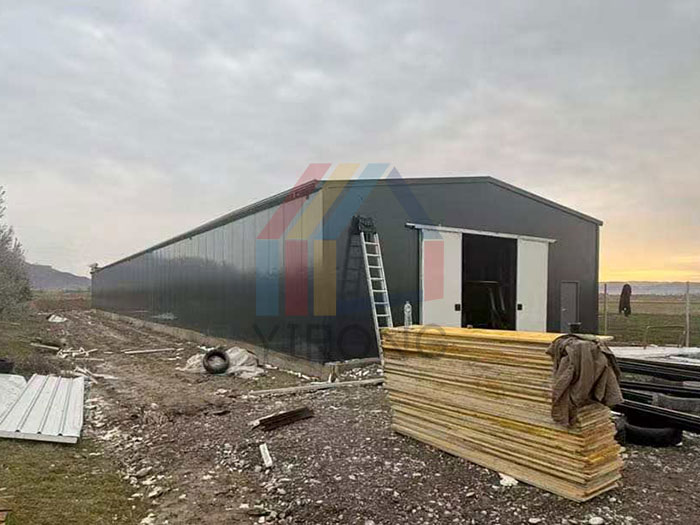 steel Albania structure chicken shed