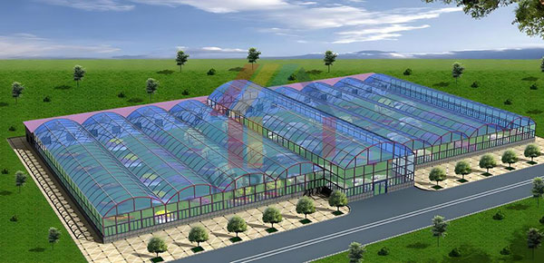 steel structure agricultural buildings